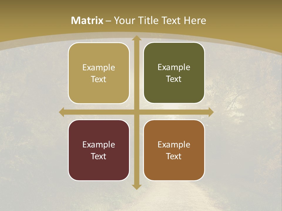 Sunset Background Forest PowerPoint Template