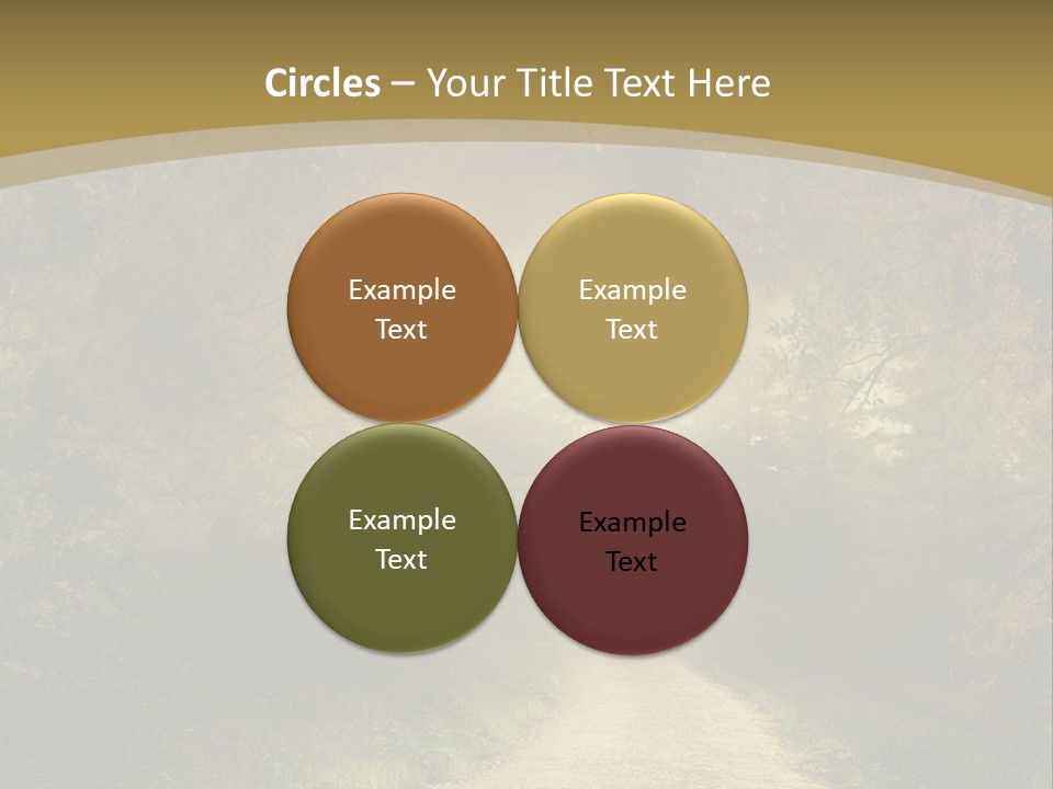 Sunset Background Forest PowerPoint Template