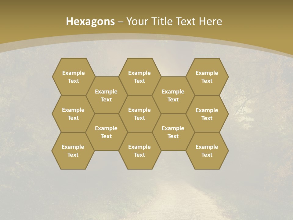 Sunset Background Forest PowerPoint Template
