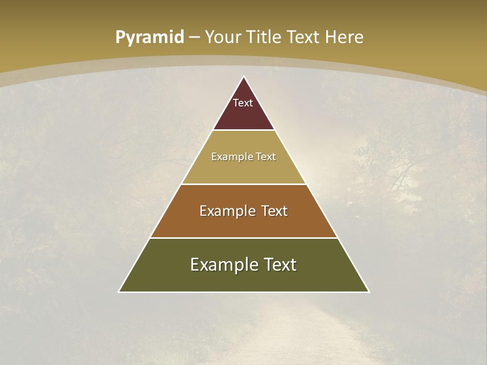 Sunset Background Forest PowerPoint Template