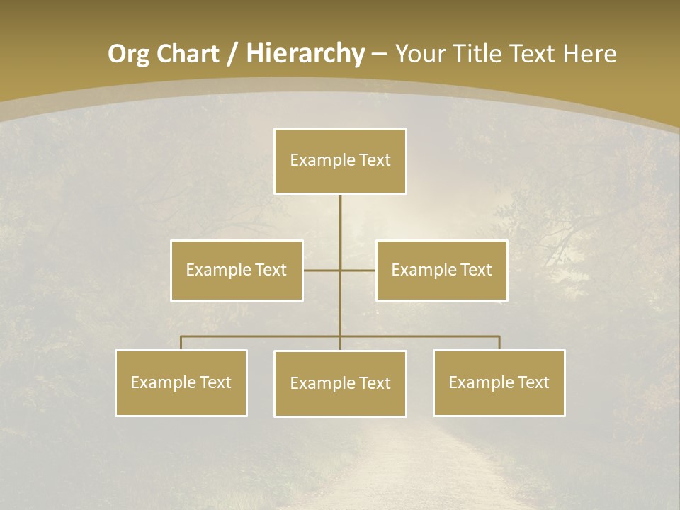 Sunset Background Forest PowerPoint Template