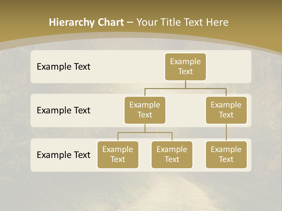 Sunset Background Forest PowerPoint Template