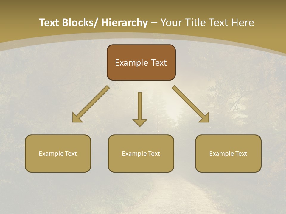 Sunset Background Forest PowerPoint Template