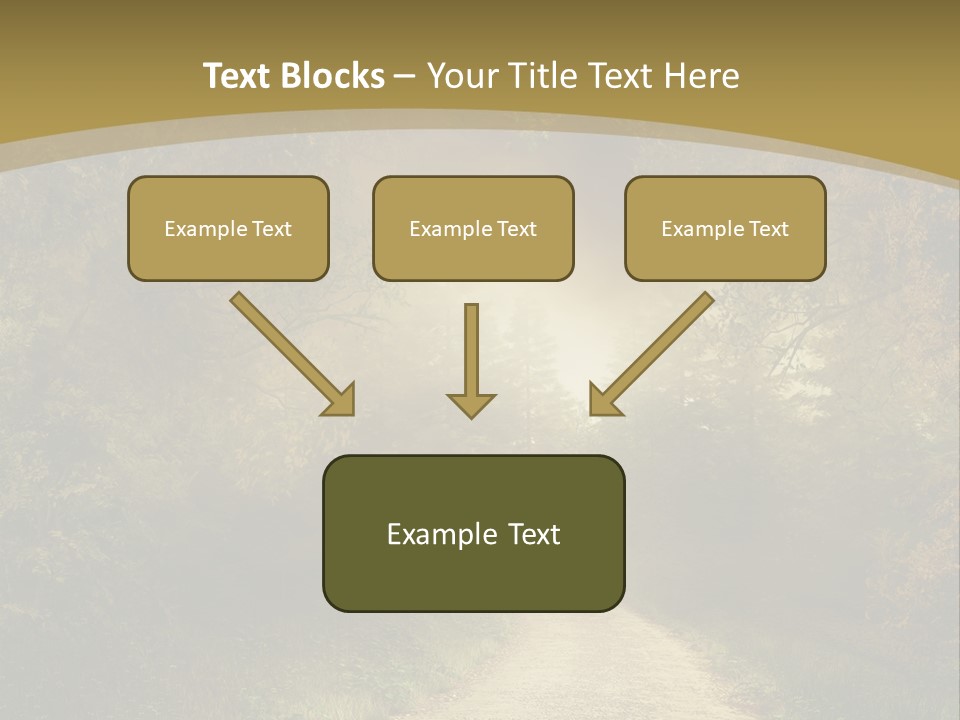 Sunset Background Forest PowerPoint Template