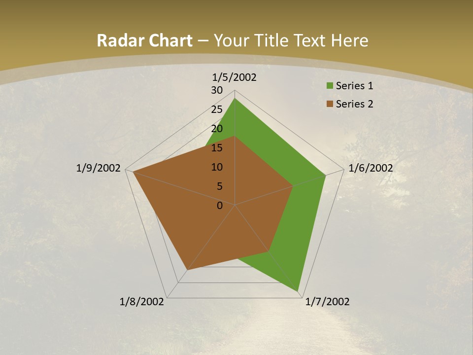 Sunset Background Forest PowerPoint Template