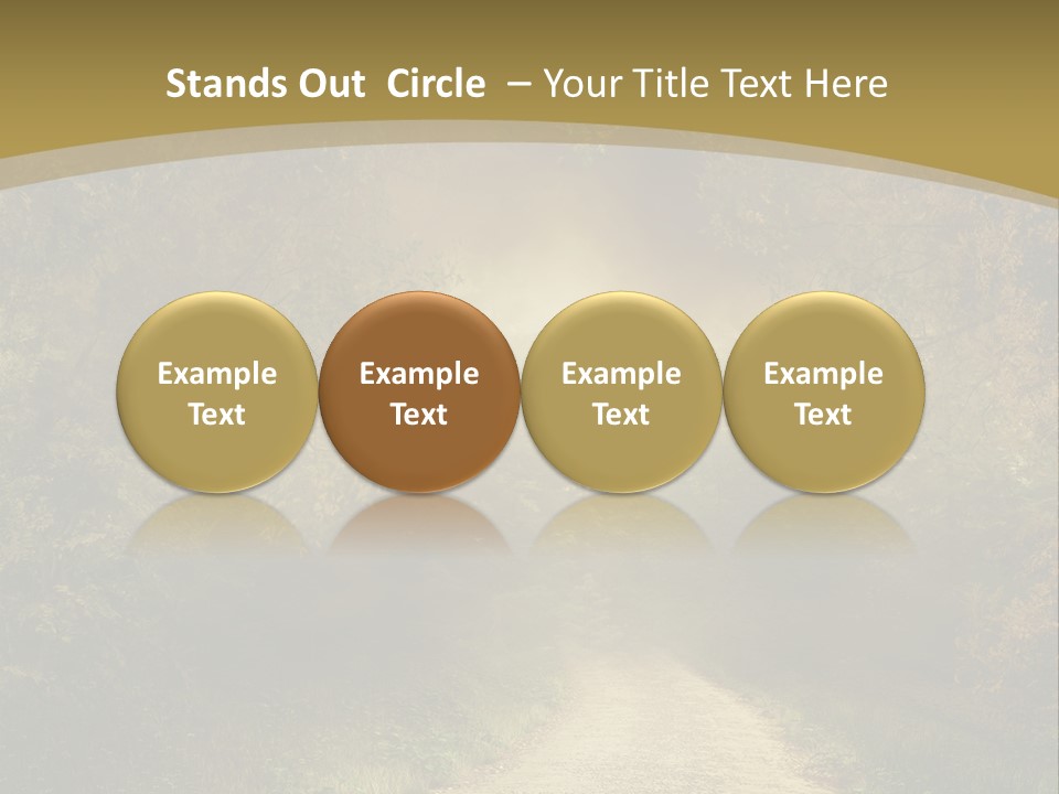 Sunset Background Forest PowerPoint Template