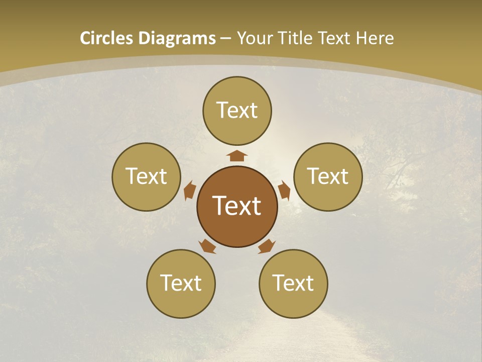 Sunset Background Forest PowerPoint Template