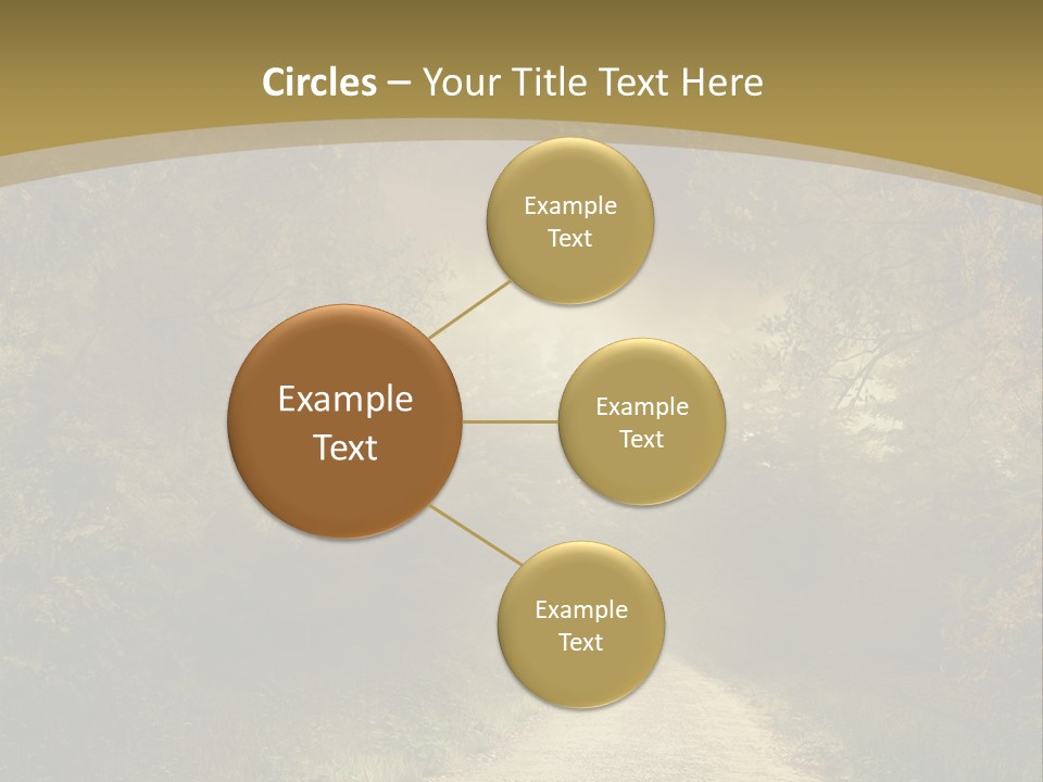 Sunset Background Forest PowerPoint Template