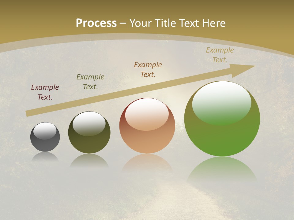Sunset Background Forest PowerPoint Template
