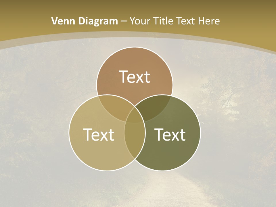 Sunset Background Forest PowerPoint Template