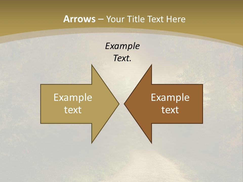 Sunset Background Forest PowerPoint Template