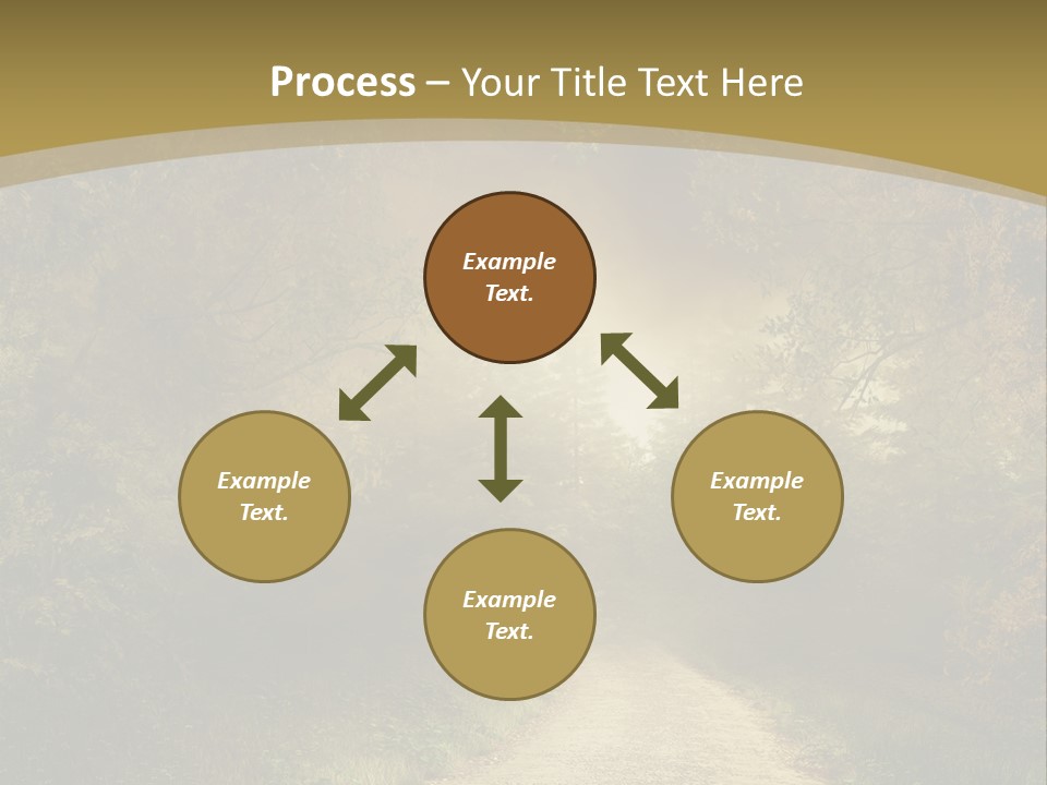 Sunset Background Forest PowerPoint Template