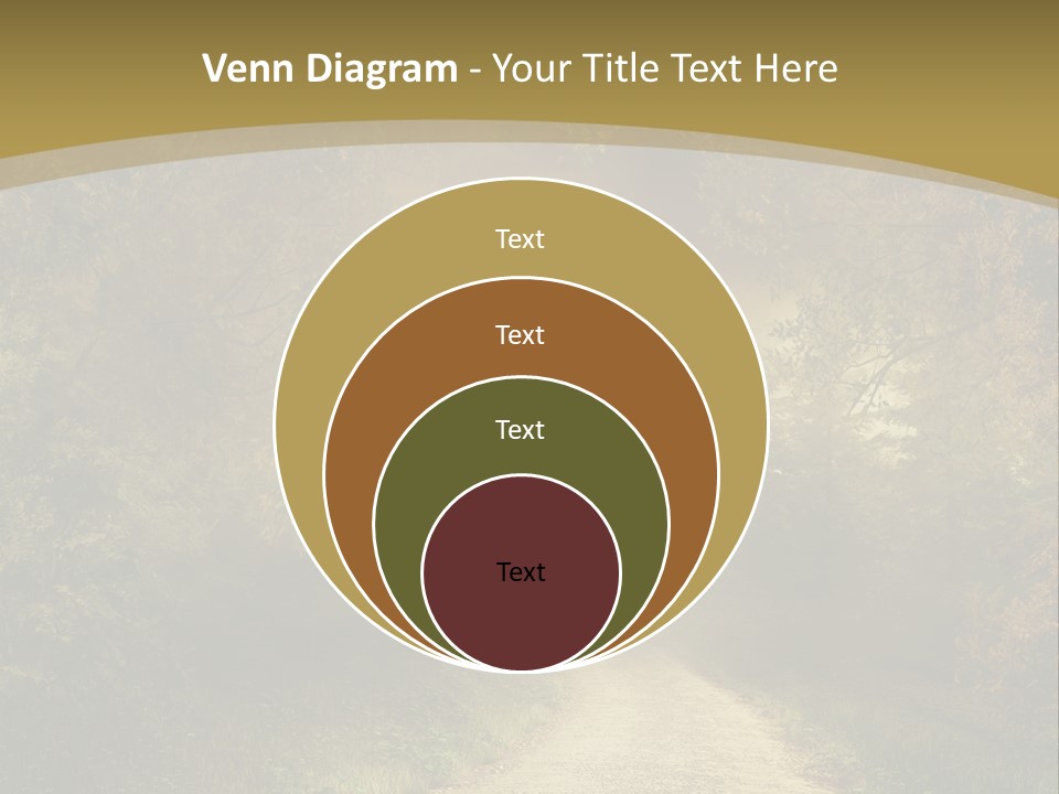 Sunset Background Forest PowerPoint Template