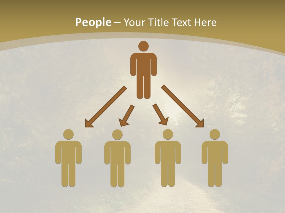 Sunset Background Forest PowerPoint Template