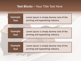 Gourmet White Food PowerPoint Template