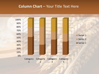 Barley Product Round PowerPoint Template