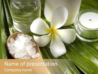 Care Blossom Clean PowerPoint Template