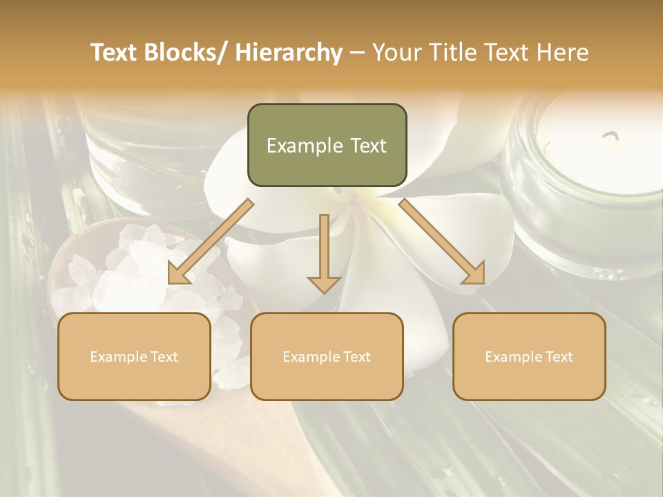 Care Blossom Clean PowerPoint Template