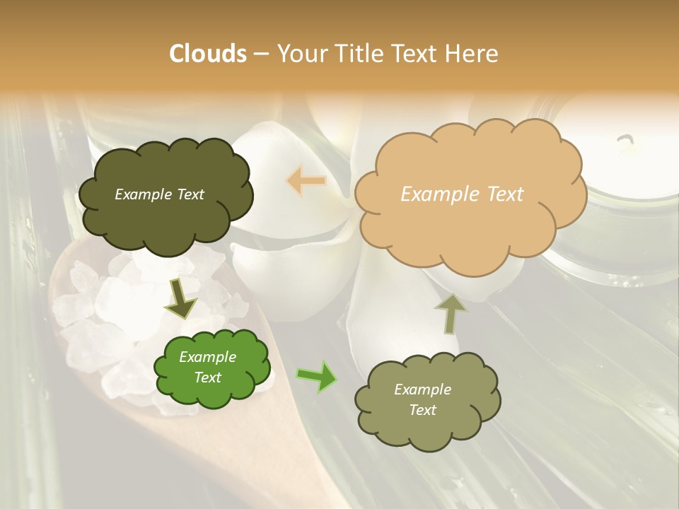 Care Blossom Clean PowerPoint Template