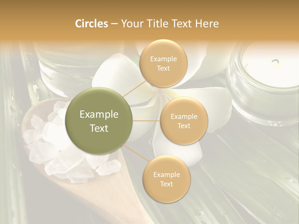 Care Blossom Clean PowerPoint Template