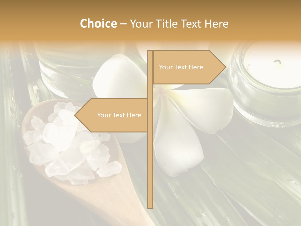 Care Blossom Clean PowerPoint Template