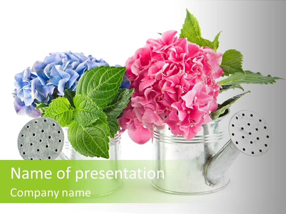 Watering Delicate Easter PowerPoint Template