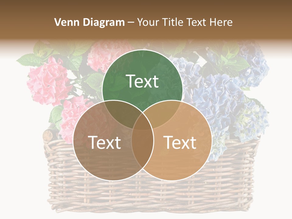 Pink Bloom Decoration PowerPoint Template