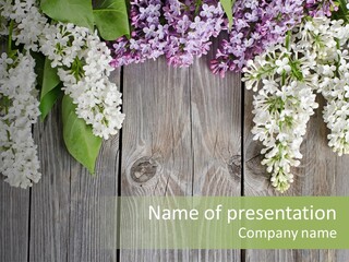 Petal Wooden Space PowerPoint Template