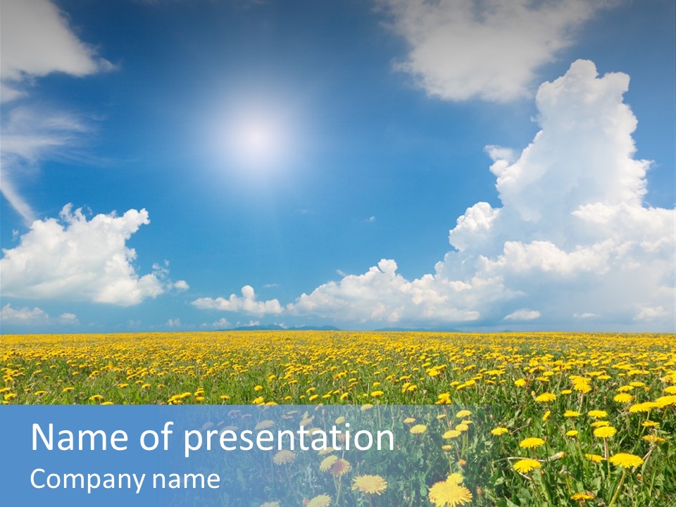 Outside Summer White PowerPoint Template