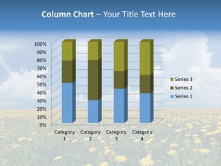 Outside Summer White PowerPoint Template