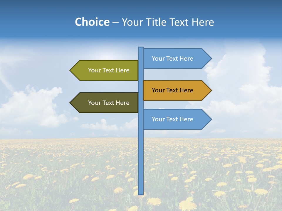 Outside Summer White PowerPoint Template