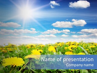 Blue Bright Sky PowerPoint Template