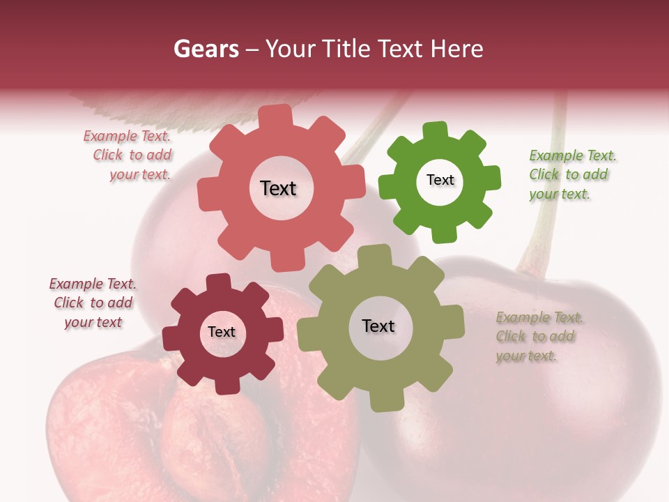 Studio Shot Sweet PowerPoint Template