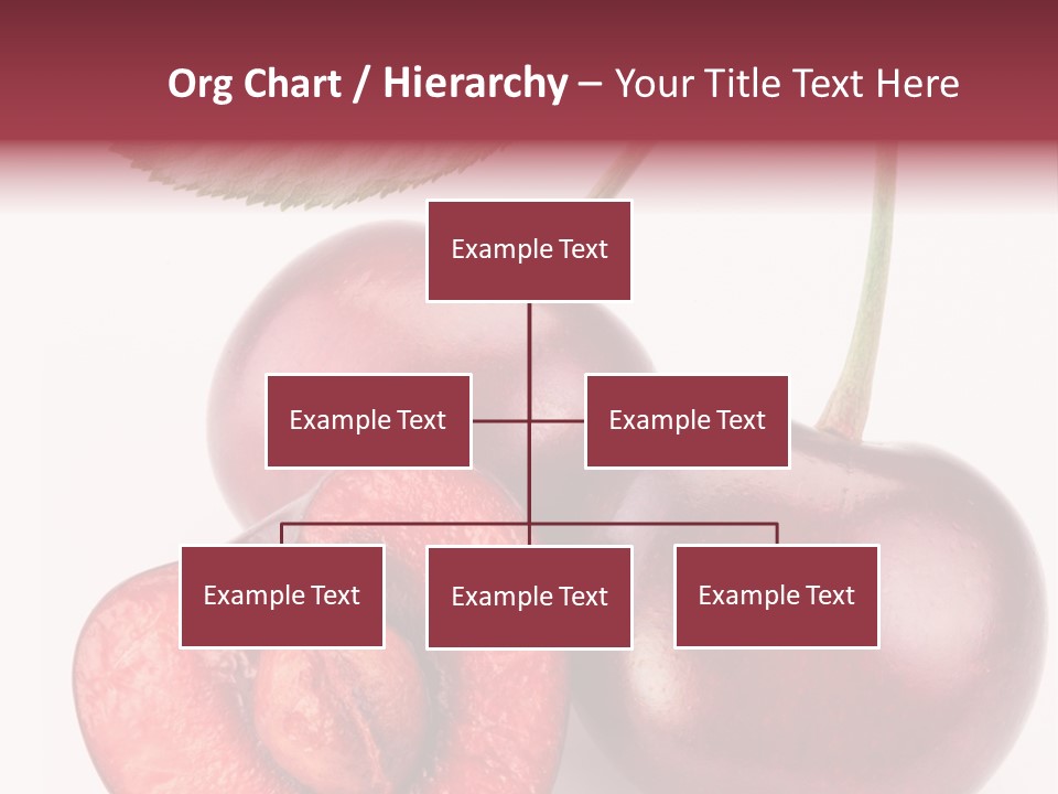 Studio Shot Sweet PowerPoint Template