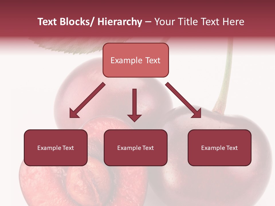 Studio Shot Sweet PowerPoint Template