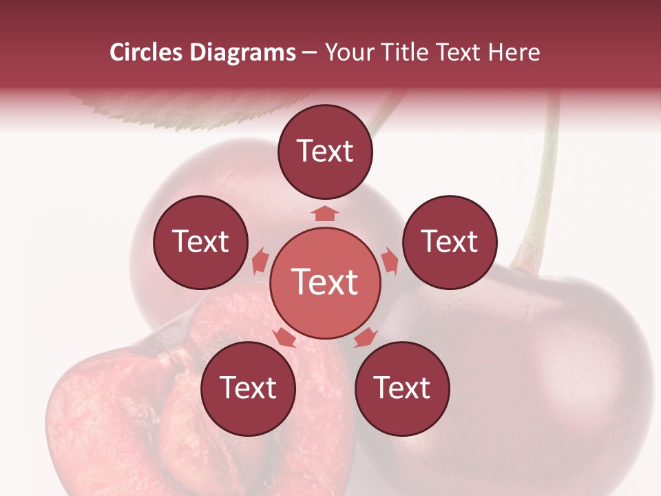 Studio Shot Sweet PowerPoint Template