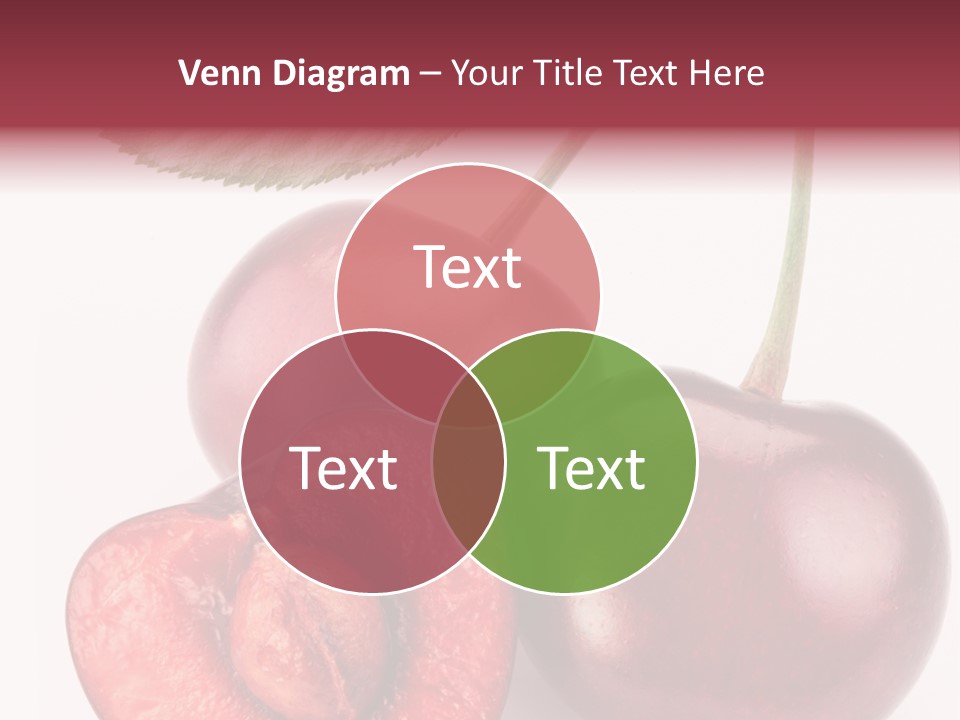 Studio Shot Sweet PowerPoint Template