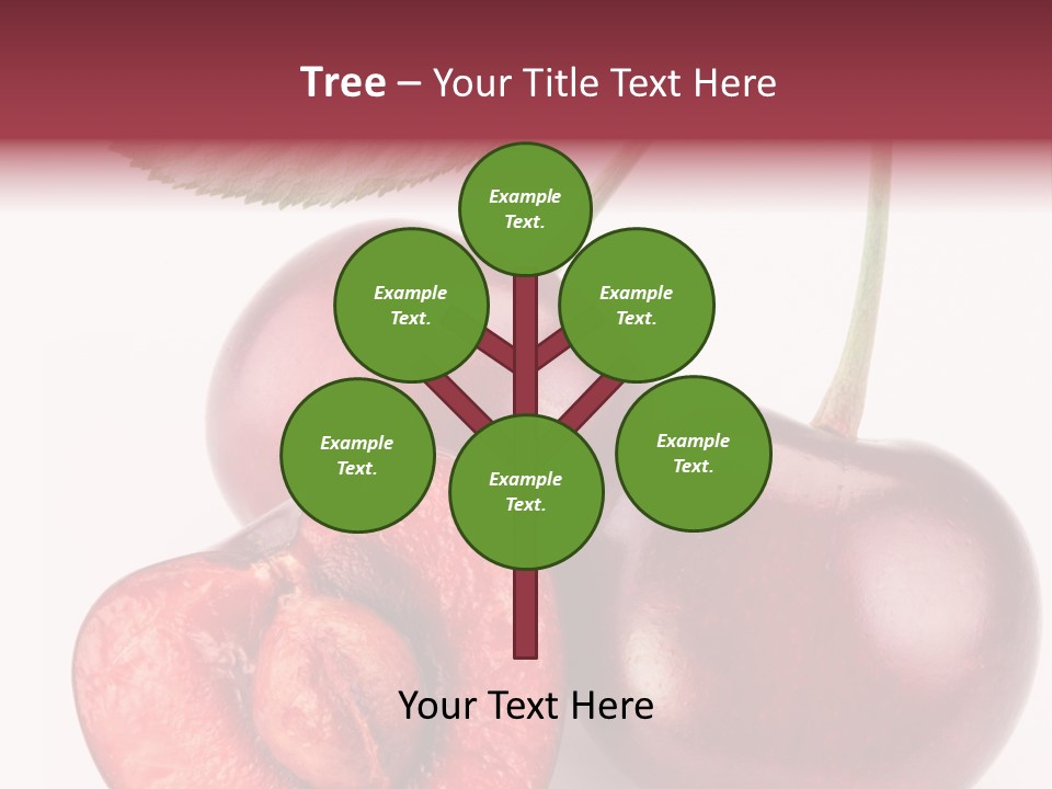 Studio Shot Sweet PowerPoint Template