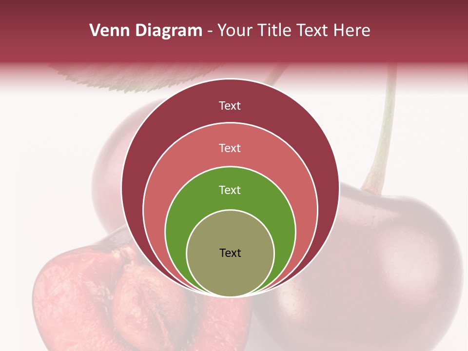Studio Shot Sweet PowerPoint Template