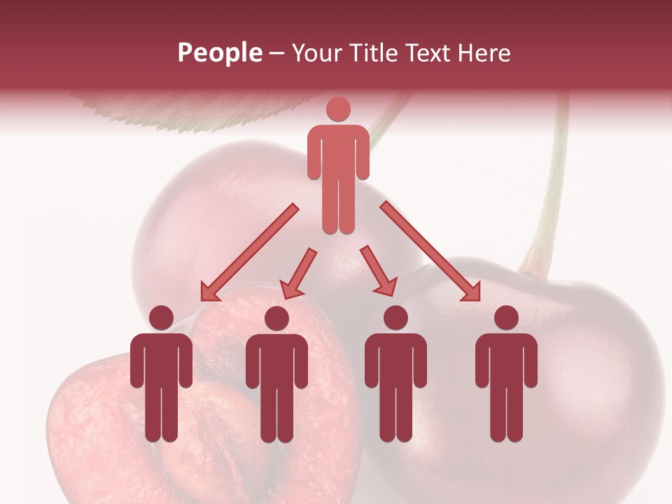 Studio Shot Sweet PowerPoint Template