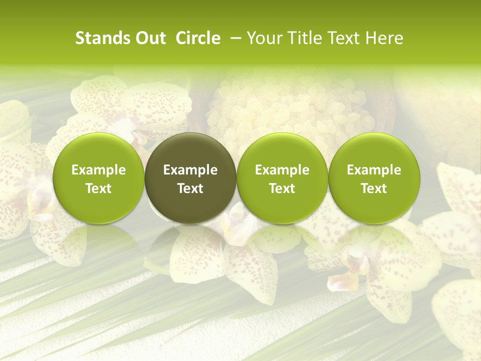 Fresh Rejuvenation Salt PowerPoint Template