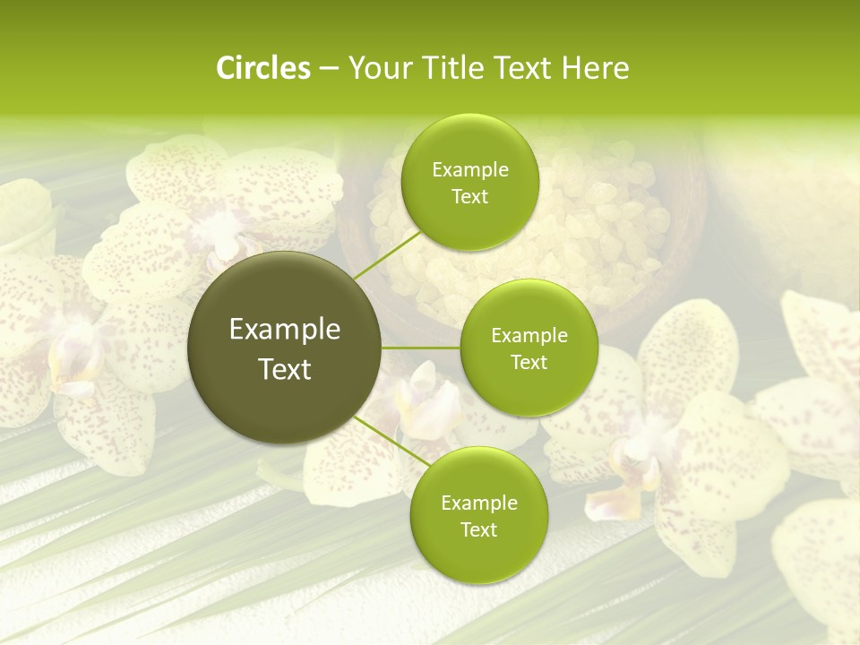 Fresh Rejuvenation Salt PowerPoint Template