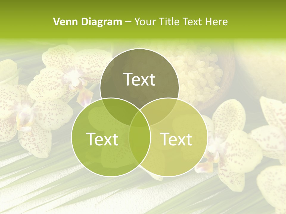 Fresh Rejuvenation Salt PowerPoint Template