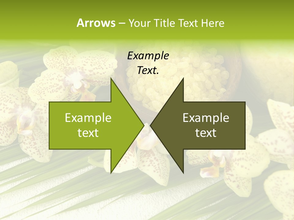 Fresh Rejuvenation Salt PowerPoint Template