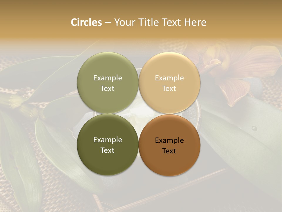 Body Salt Renew PowerPoint Template