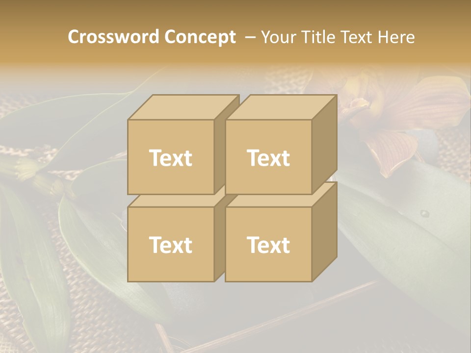 Body Salt Renew PowerPoint Template