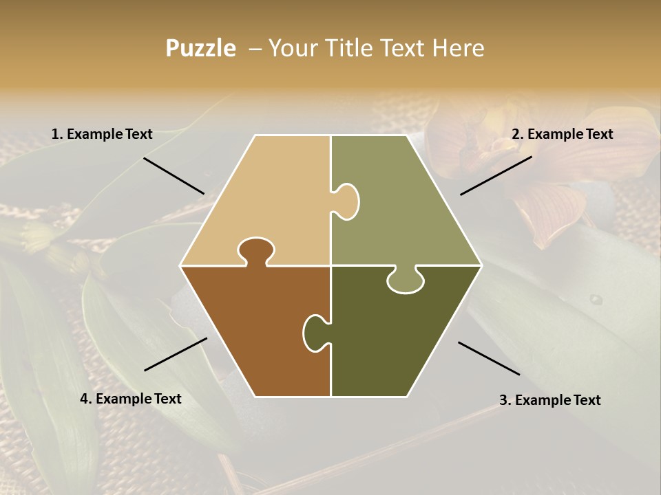 Body Salt Renew PowerPoint Template