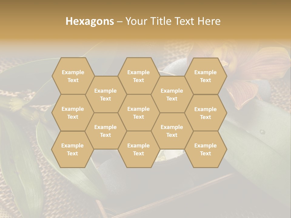 Body Salt Renew PowerPoint Template