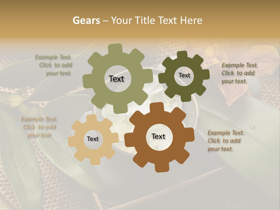 Body Salt Renew PowerPoint Template