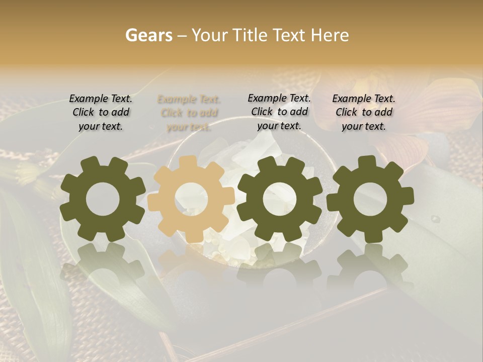 Body Salt Renew PowerPoint Template